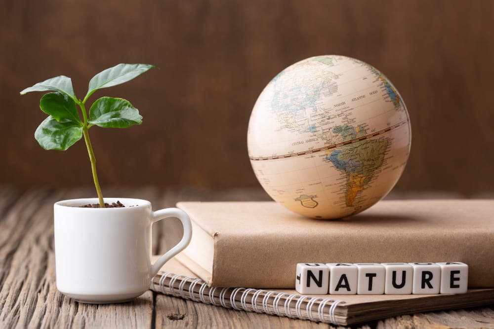 Environment, Sustainability, and Climate Change